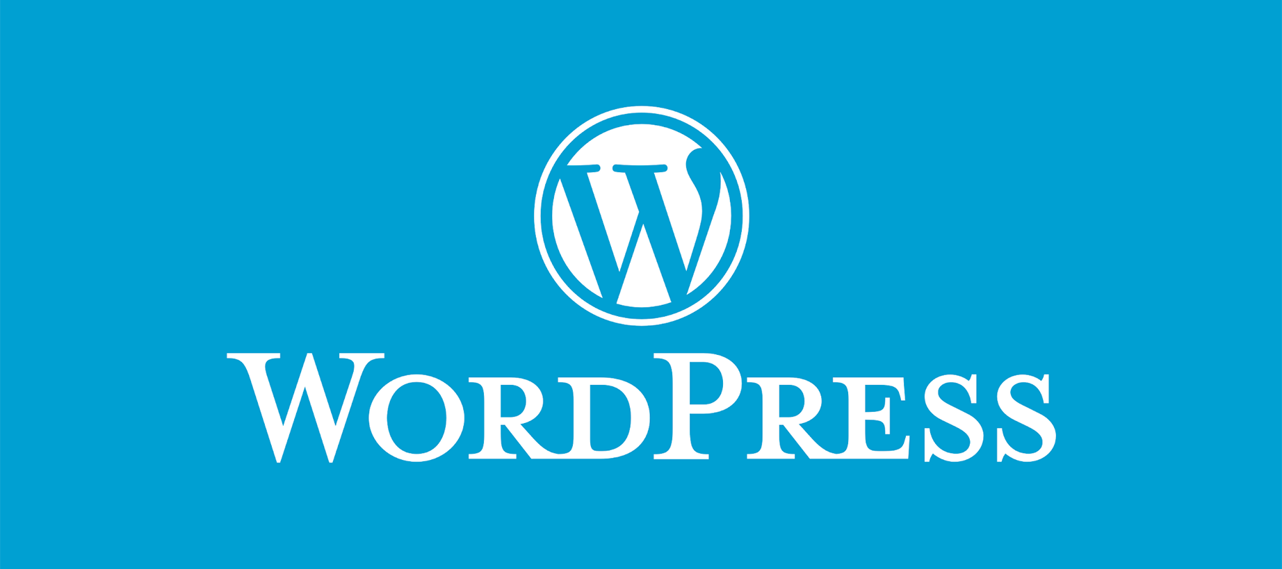 Nasıl Wordpress Uzmanı Olunur?